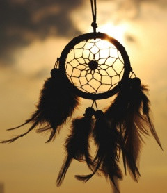 artichoke_03-dreamcatcher