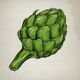 The Artichoke's Life