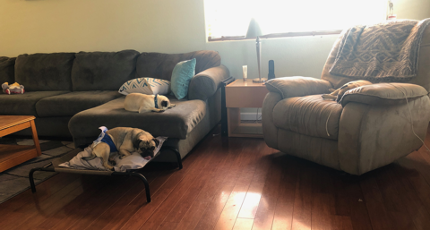 Practice Polite Protection